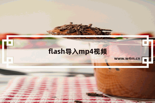 flash导入mp4视频