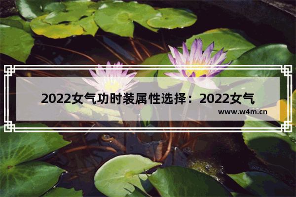 2022女气功时装属性选择：2022女气功时装属性选择稀有