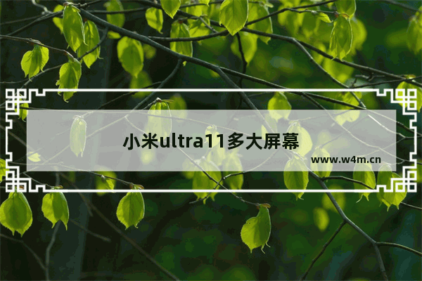 小米ultra11多大屏幕