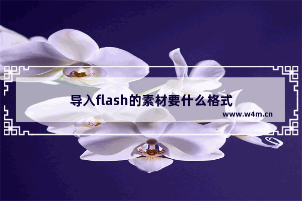 导入flash的素材要什么格式