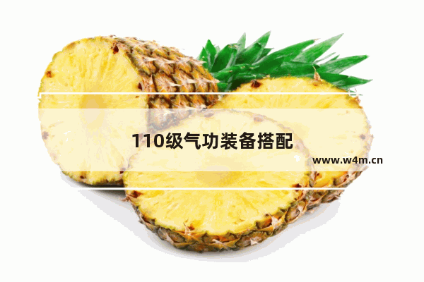 110级气功装备搭配