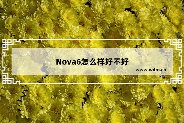 Nova6怎么样好不好