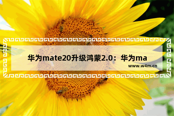 华为mate20升级鸿蒙2.0：华为mate20升级鸿蒙2.0.0.怎么样