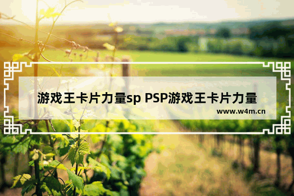 游戏王卡片力量sp PSP游戏王卡片力量sp