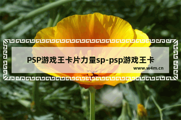 PSP游戏王卡片力量sp-psp游戏王卡片力量sp完美存档