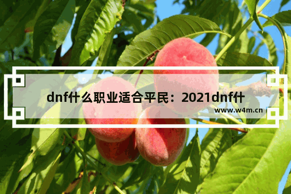 dnf什么职业适合平民：2021dnf什么职业适合平民长期玩