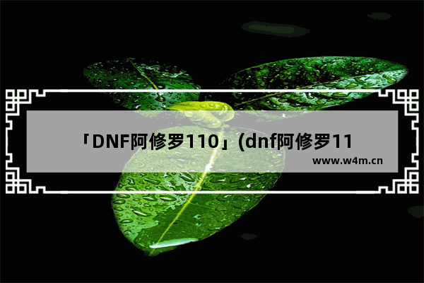 「DNF阿修罗110」(dnf阿修罗110级装备最强搭配图)