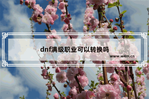 dnf满级职业可以转换吗