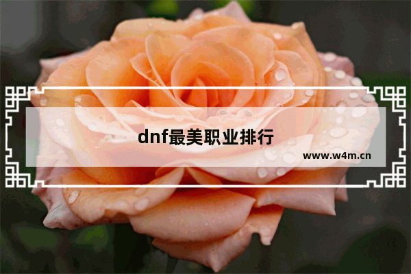 dnf最美职业排行