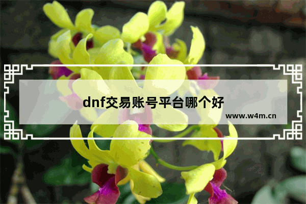 dnf交易账号平台哪个好