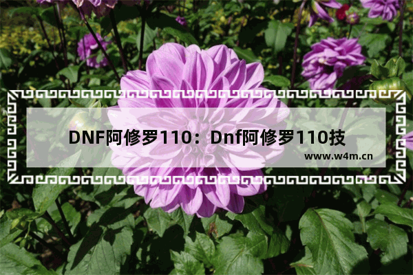 DNF阿修罗110：Dnf阿修罗110技能加点