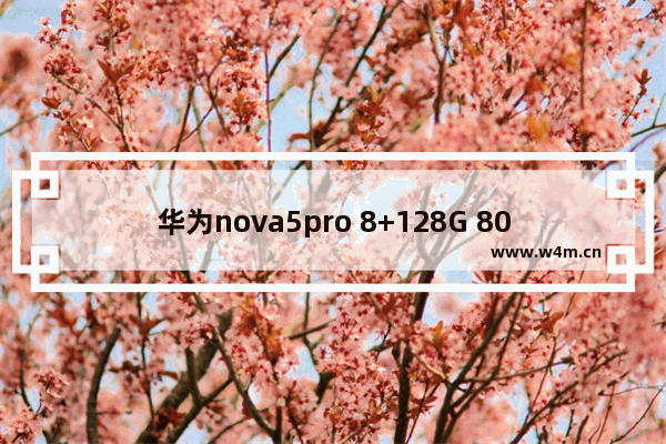 华为nova5pro 8+128G 800