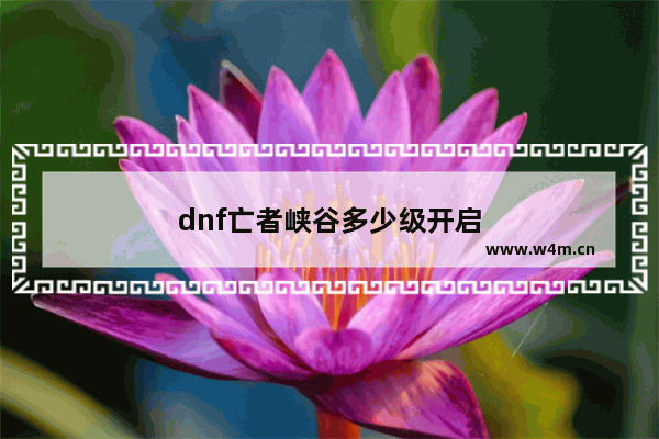 dnf亡者峡谷多少级开启