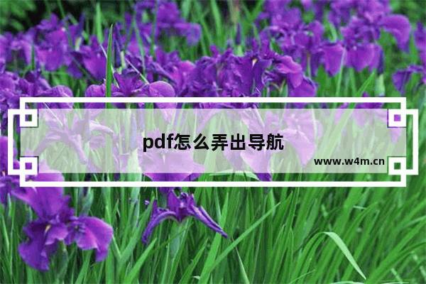 pdf怎么弄出导航