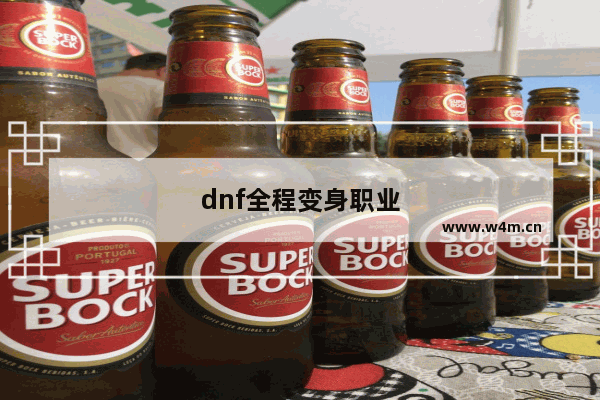 dnf全程变身职业