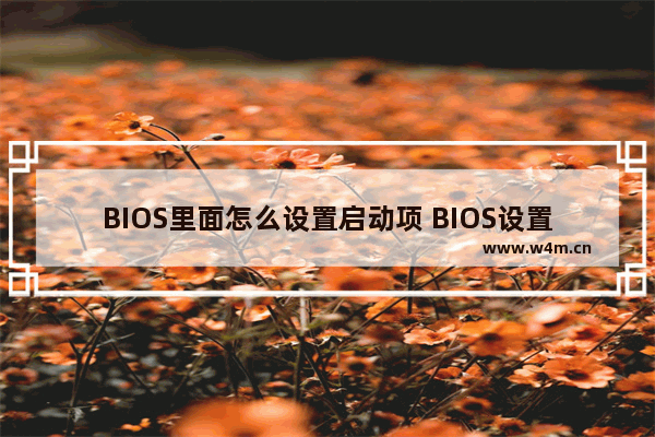 BIOS里面怎么设置启动项 BIOS设置启动项操作方法