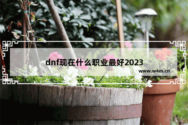 dnf现在什么职业最好2023