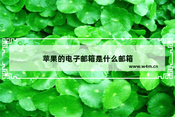 苹果的电子邮箱是什么邮箱