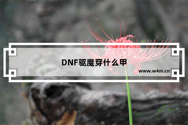 DNF驱魔穿什么甲