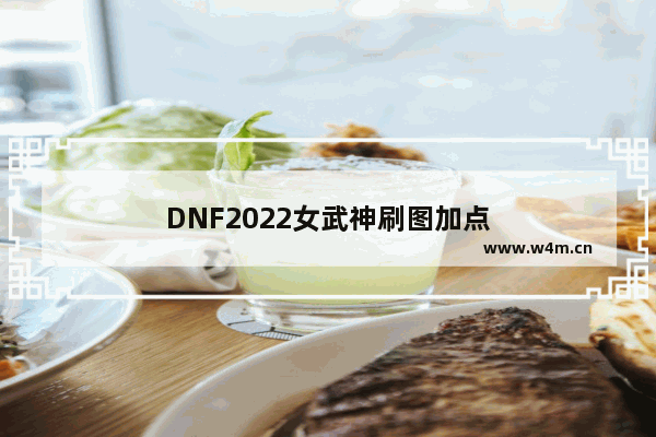 DNF2022女武神刷图加点