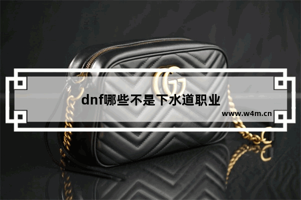 dnf哪些不是下水道职业