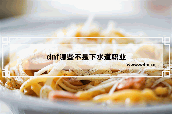 dnf哪些不是下水道职业