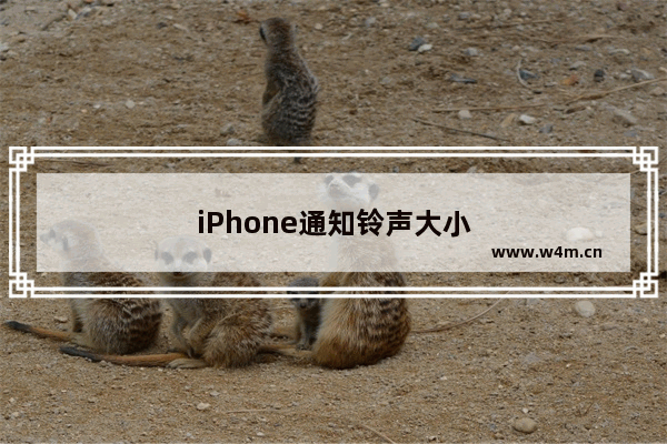 iPhone通知铃声大小