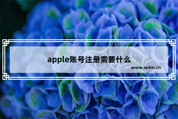 apple账号注册需要什么