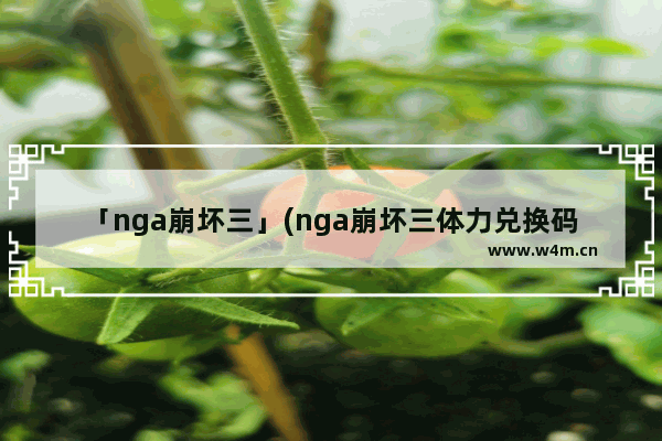 「nga崩坏三」(nga崩坏三体力兑换码)