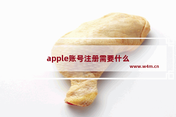 apple账号注册需要什么