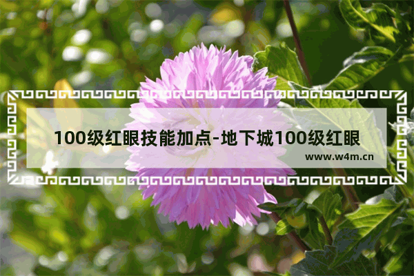 100级红眼技能加点-地下城100级红眼技能加点