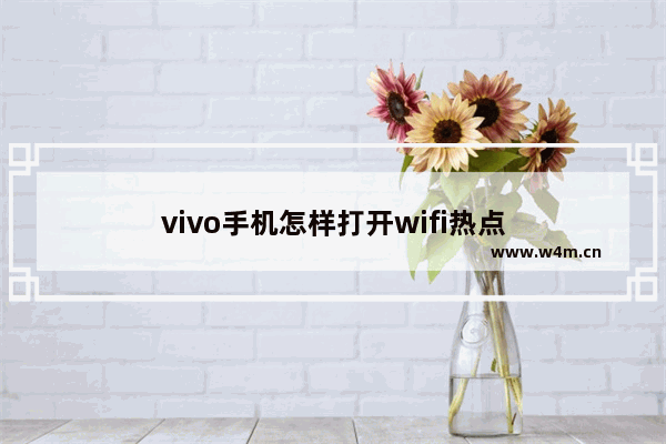 vivo手机怎样打开wifi热点