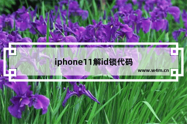 iphone11解id锁代码