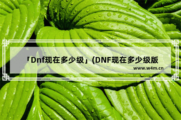 「Dnf现在多少级」(DNF现在多少级版本)