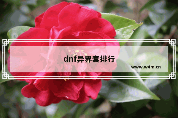 dnf异界套排行