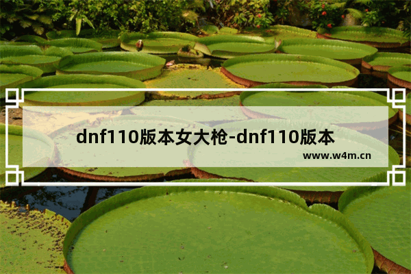 dnf110版本女大枪-dnf110版本女大枪装备搭配