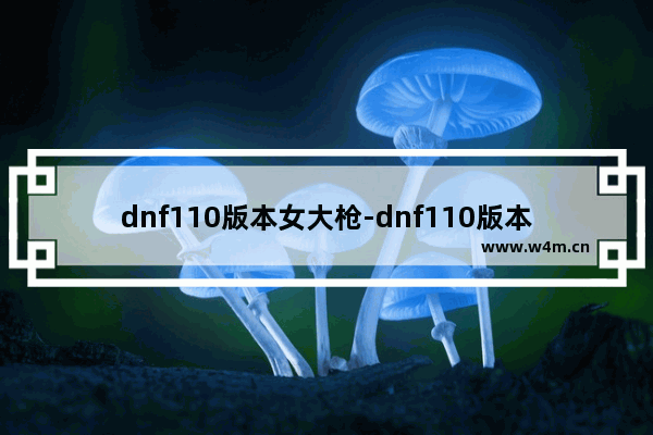 dnf110版本女大枪-dnf110版本女大枪装备搭配