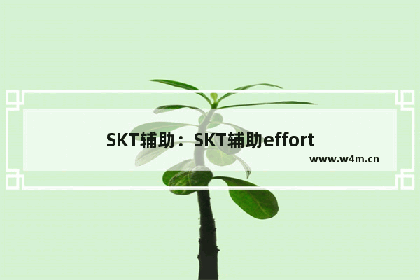 SKT辅助：SKT辅助effort