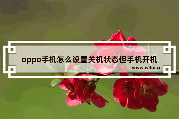 oppo手机怎么设置关机状态但手机开机