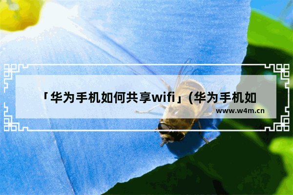 「华为手机如何共享wifi」(华为手机如何共享wifi热点)