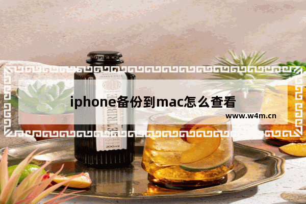 iphone备份到mac怎么查看