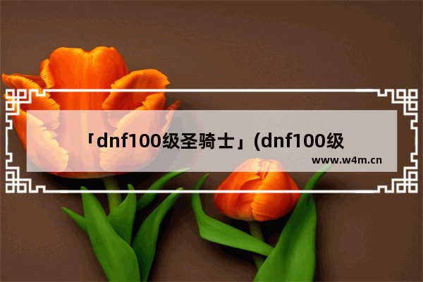 「dnf100级圣骑士」(dnf100级圣骑士buff强化装备)