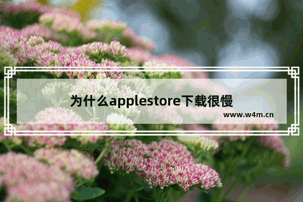 为什么applestore下载很慢