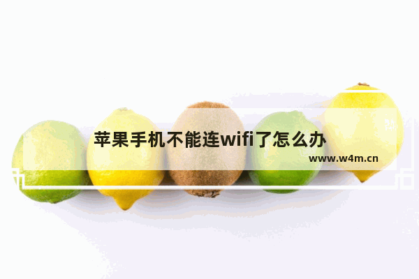 苹果手机不能连wifi了怎么办