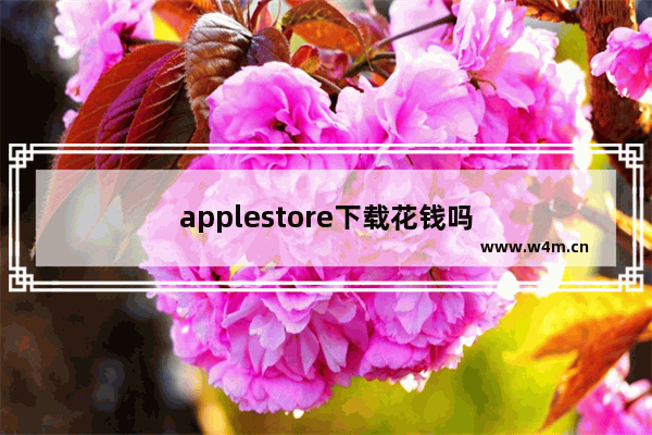 applestore下载花钱吗