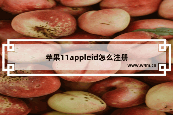 苹果11appleid怎么注册