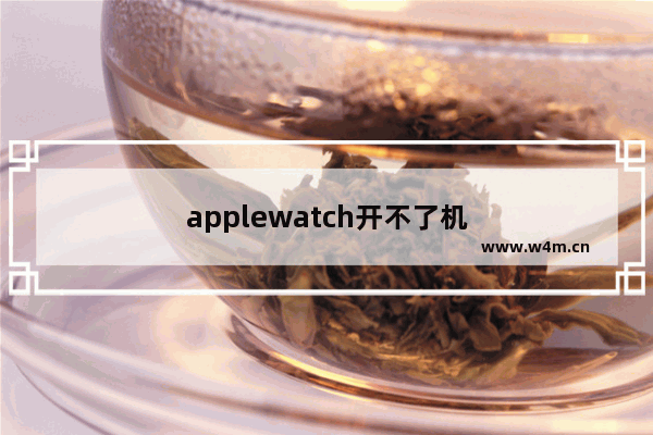 applewatch开不了机