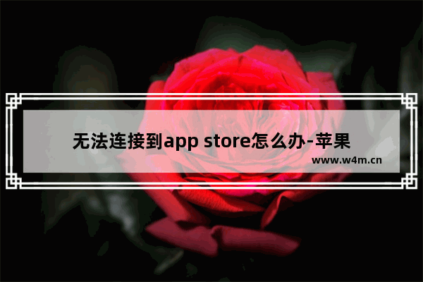 无法连接到app store怎么办-苹果平板无法连接到app store怎么办