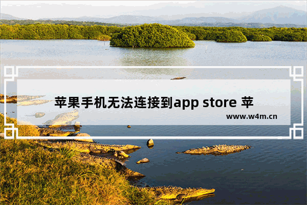 苹果手机无法连接到app store 苹果手机无法连接到app store怎么打开