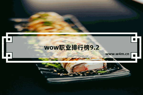 wow职业排行榜9.2